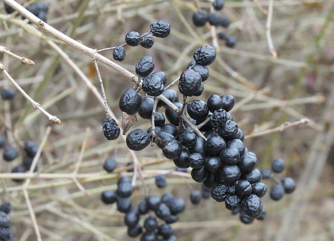 ����� ���� 3 ����� Natali  ��������� �� PhotoGeek.ru #����� ��������������