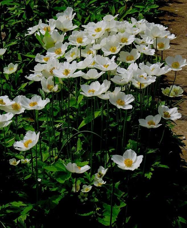 ������������ ����� ����� Natali  ��������� �� PhotoGeek.ru #����� ��������������