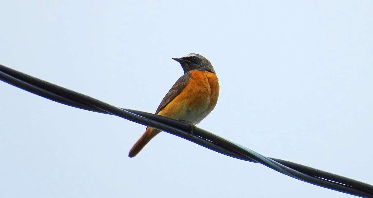 ... ����� Natali  ��������� �� PhotoGeek.ru #�������� ��� #����� ��� ��� ���������