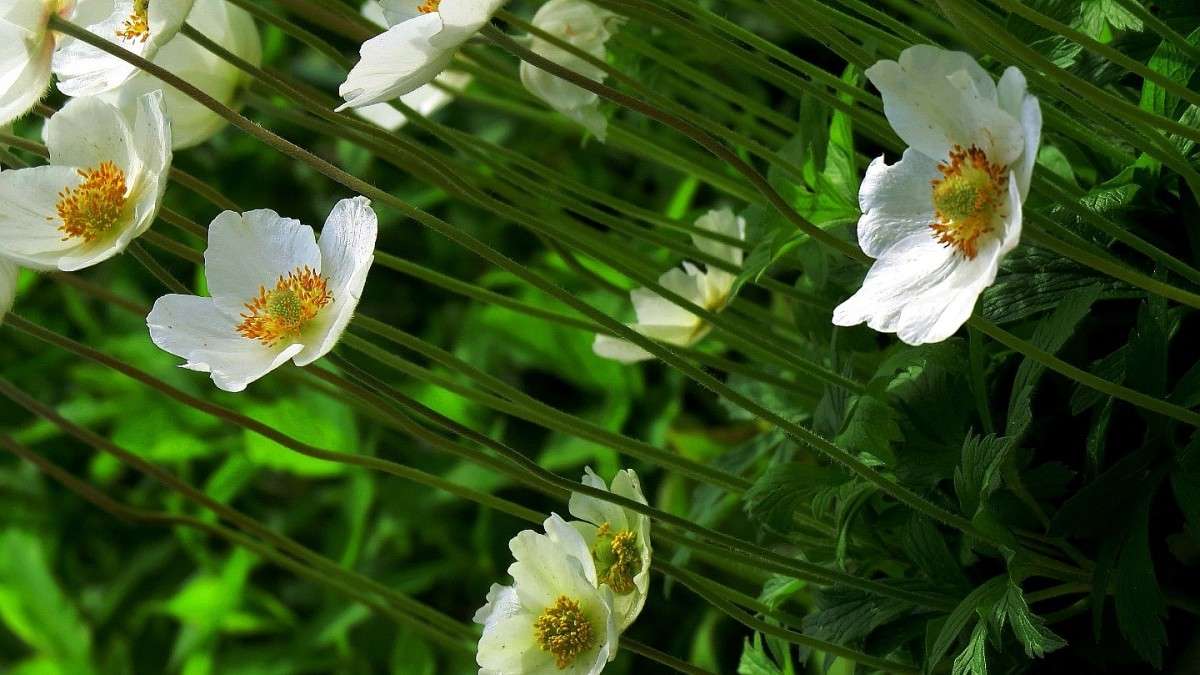 �������� �����  2 ))) ����� Natali  ��������� �� PhotoGeek.ru #����� ��������������