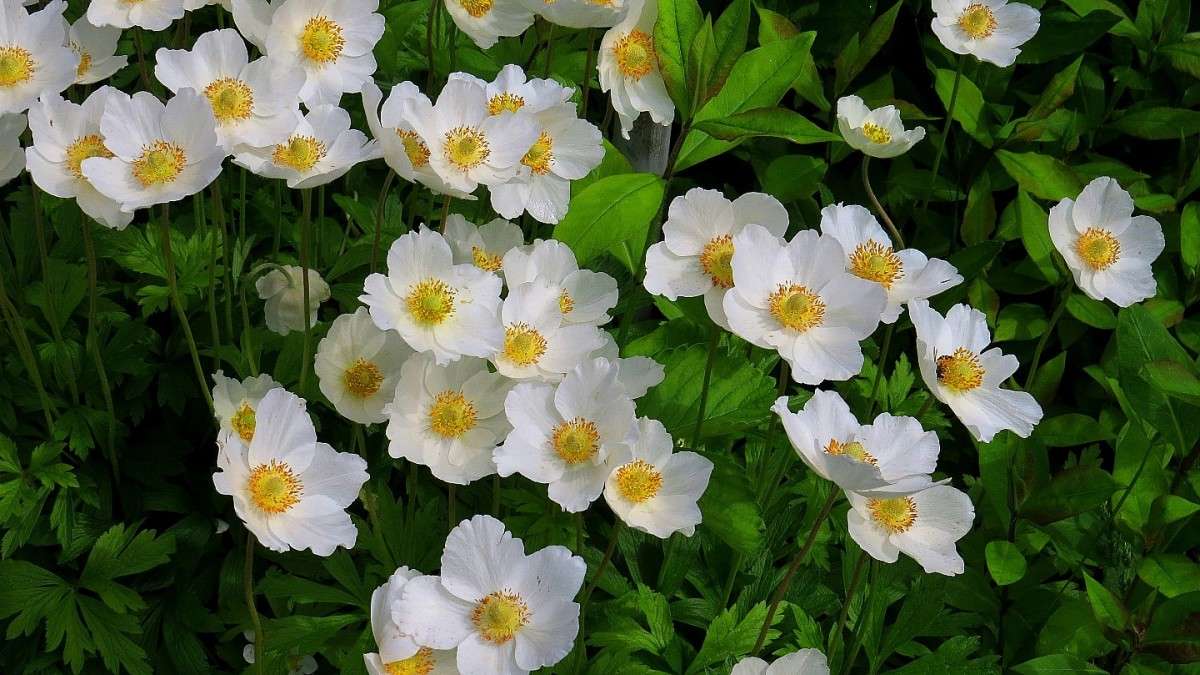 �������� ����� ) ����� Natali  ��������� �� PhotoGeek.ru #����� ��������������