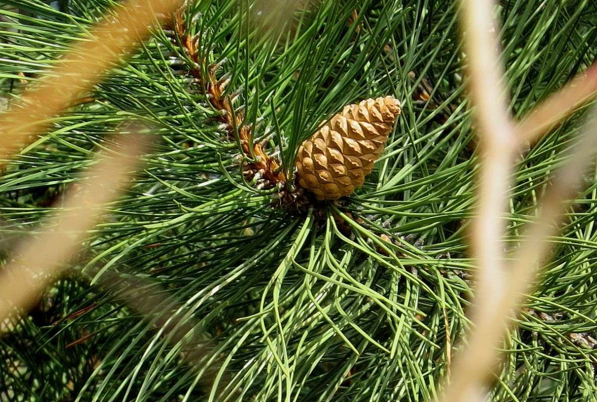 * ����� Natali  ��������� �� PhotoGeek.ru #������ ��� ������� #����� ��������������