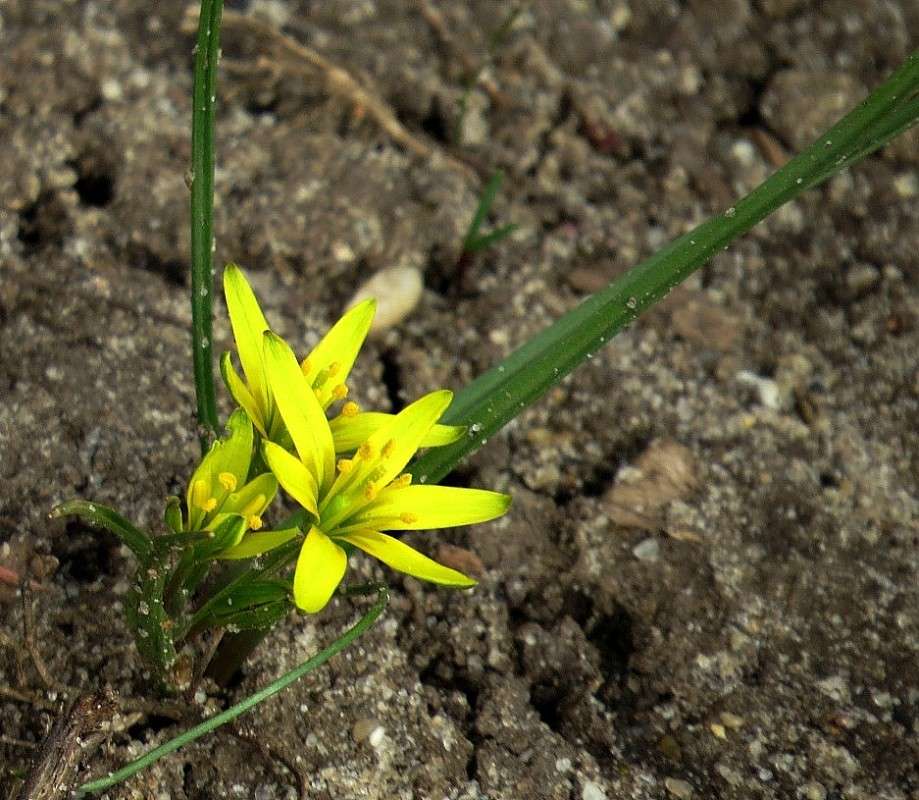 ���� ����� Natali  ��������� �� PhotoGeek.ru #������ ��� ������� #����� ��������������