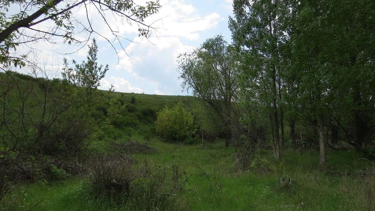 ��� ����� Natali  ��������� �� PhotoGeek.ru #������ ��� ������� #����� �������������� #����� ��������