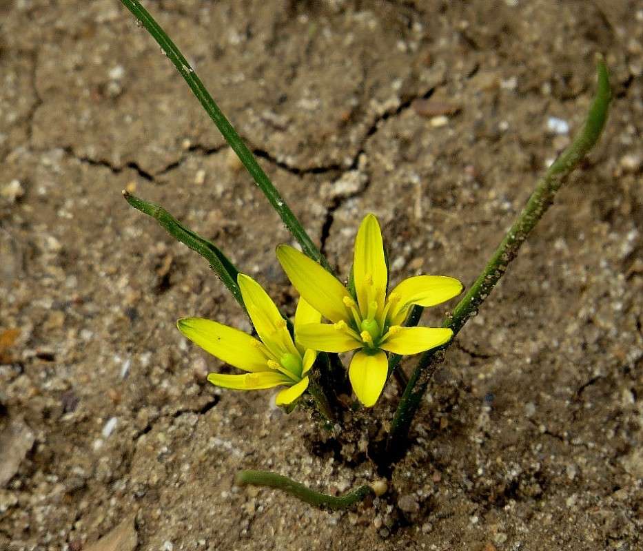 ������������, ���������, ������ ... ) ����� Natali  ��������� �� PhotoGeek.ru #����� ��������������