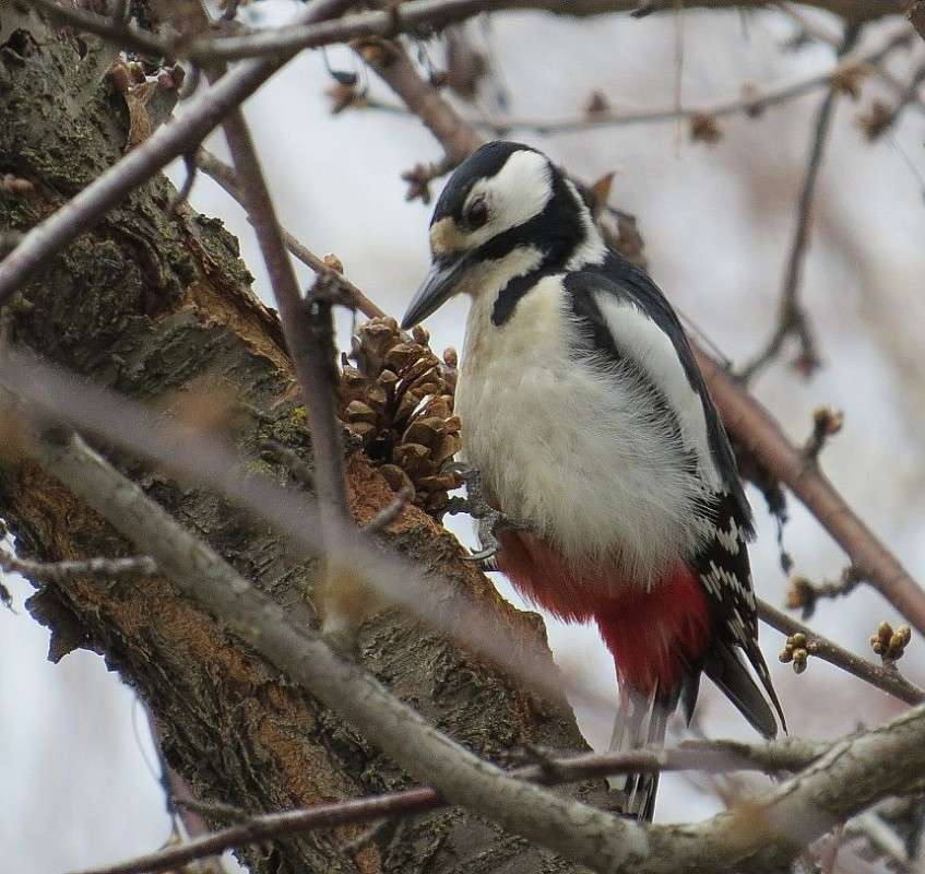 ����� �� ����� 2 ����� Natali  ��������� �� PhotoGeek.ru #�������� ��� #����� ��� ��� ���������