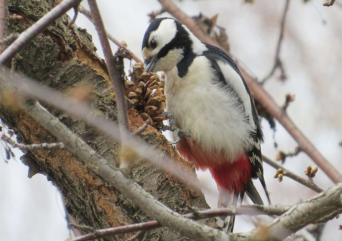 �� ����� ����� �� ������ ))) ����� Natali  ��������� �� PhotoGeek.ru #�������� ��� #����� ��� ��� ���������