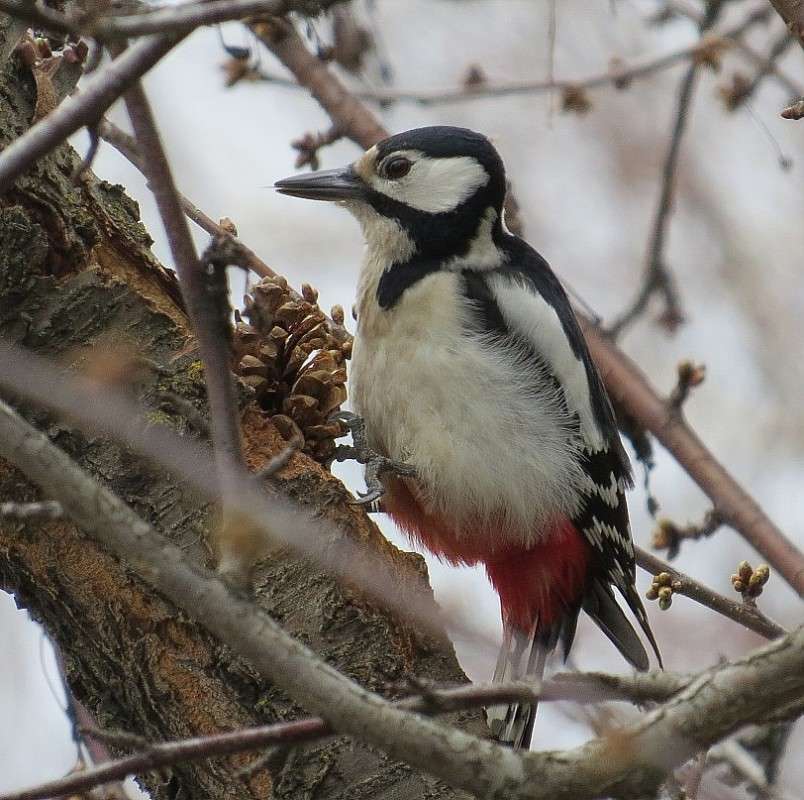 ����� �� ����� ����� Natali  ��������� �� PhotoGeek.ru #�������� ��� #����� ��� ��� ���������