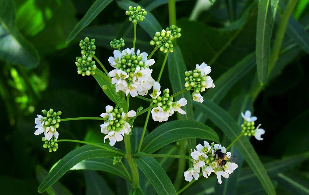 � ������ �������� ))) ����� Natali  ��������� �� PhotoGeek.ru #����� ��������������