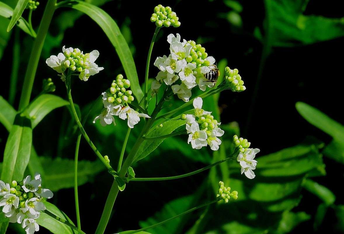 � ������ �������� ))) 3 ����� Natali  ��������� �� PhotoGeek.ru #����� ��������������