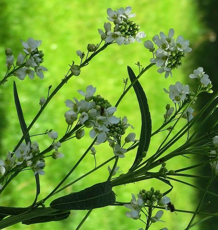 � ������ �������� ))) 4 ����� Natali  ��������� �� PhotoGeek.ru #����� ��������������