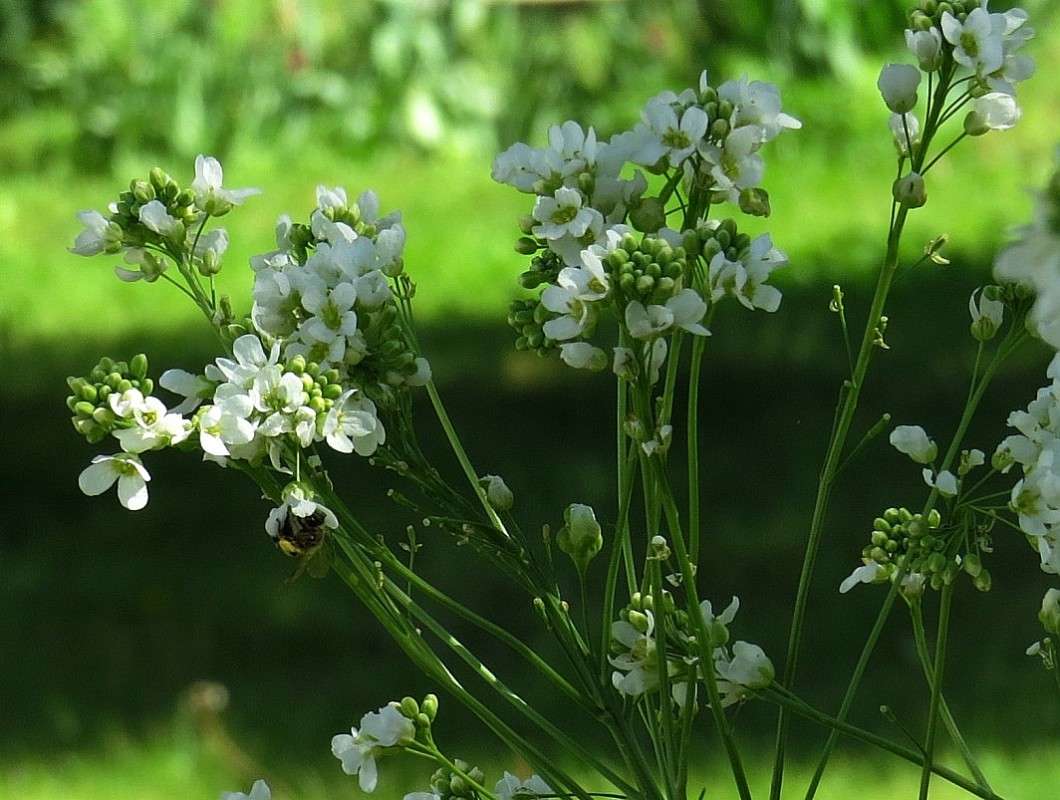 � ������ �������� ))) 5 ����� Natali  ��������� �� PhotoGeek.ru #����� ��������������