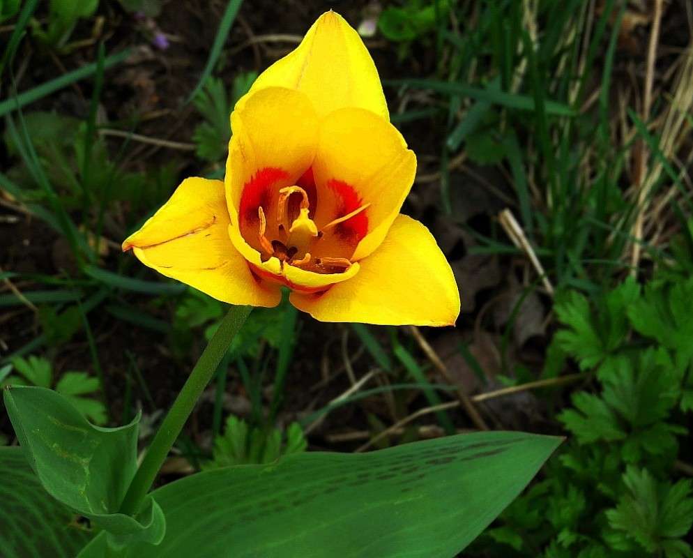 ... ����� Natali  ��������� �� PhotoGeek.ru #����� ��������������