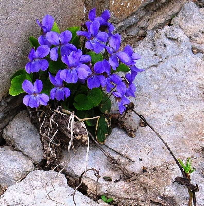 �������������� ... ) ����� Natali  ��������� �� PhotoGeek.ru #������ ��� ������� #����� ��������������