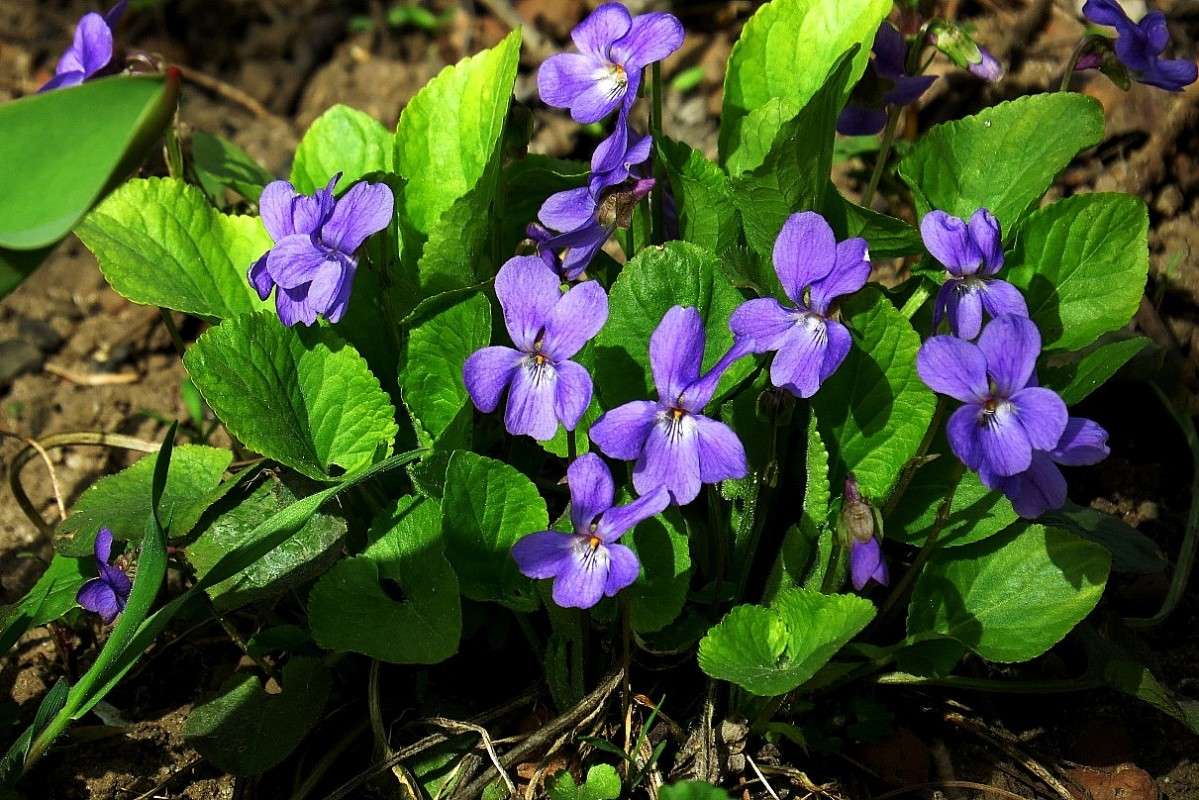 ������������ ... ) ����� Natali  ��������� �� PhotoGeek.ru #������ ��� ������� #����� ��������������