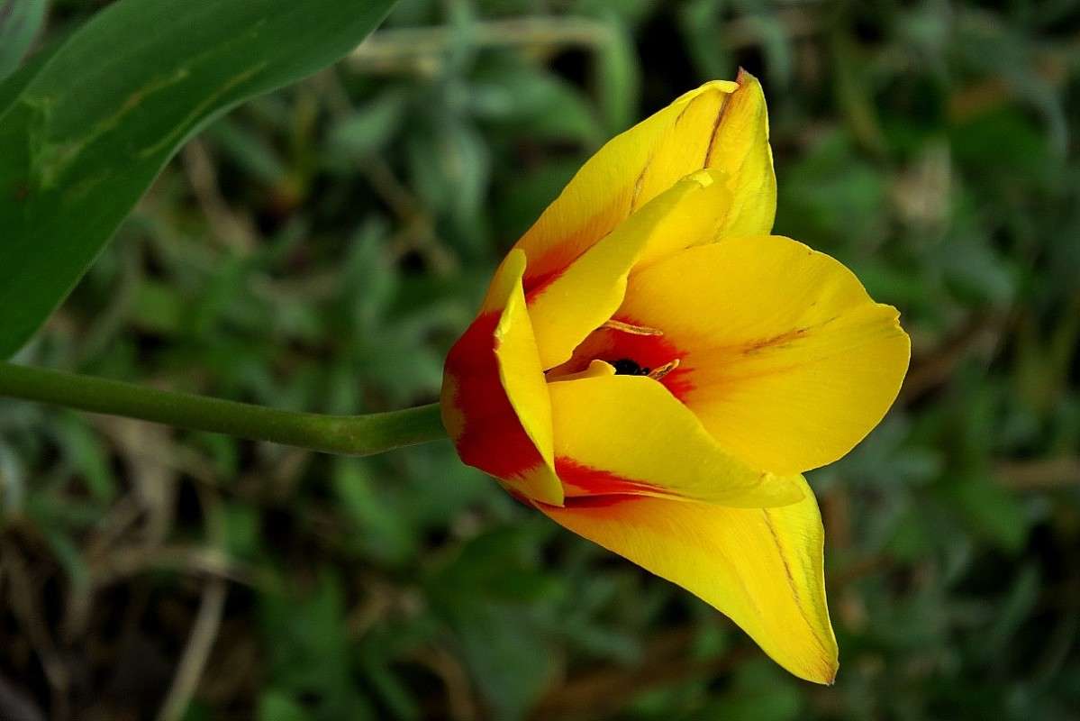 ... ����� Natali  ��������� �� PhotoGeek.ru #������ ��� ������� #����� ��������������