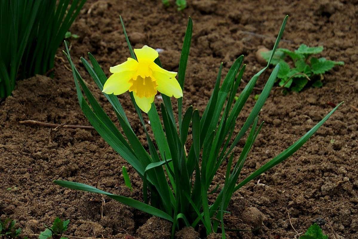 ... ����� Natali  ��������� �� PhotoGeek.ru #������ ��� ������� #����� ��������������