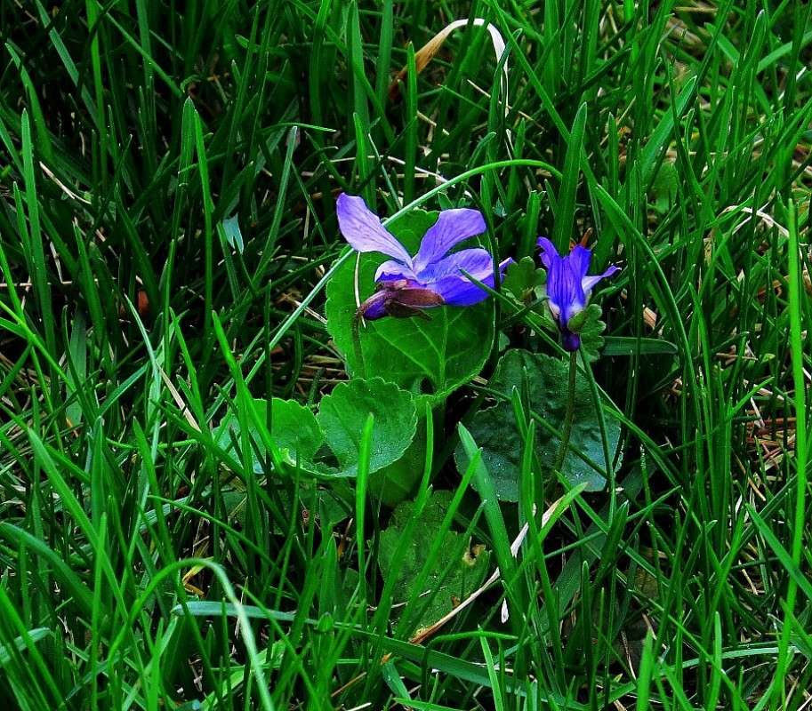 ... ����� Natali  ��������� �� PhotoGeek.ru #������ ��� ������� #����� ��������������