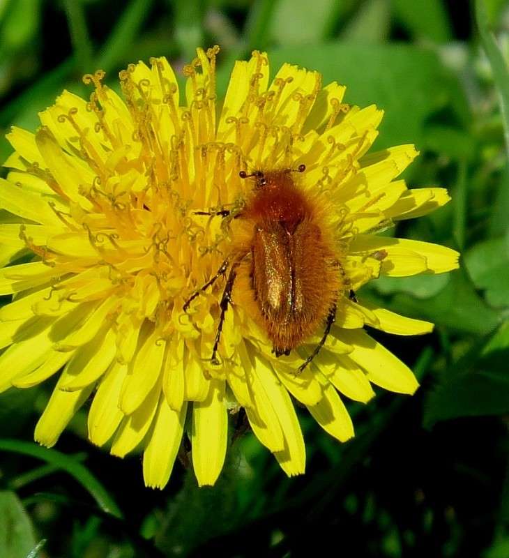 ��� ���������� ))) ����� Natali  ��������� �� PhotoGeek.ru #����� #������ ��� ������� #����� ��������������