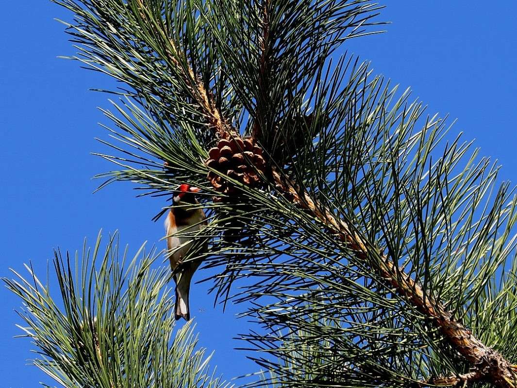 �������� ����� ))) ����� Natali  ��������� �� PhotoGeek.ru #�������� ���