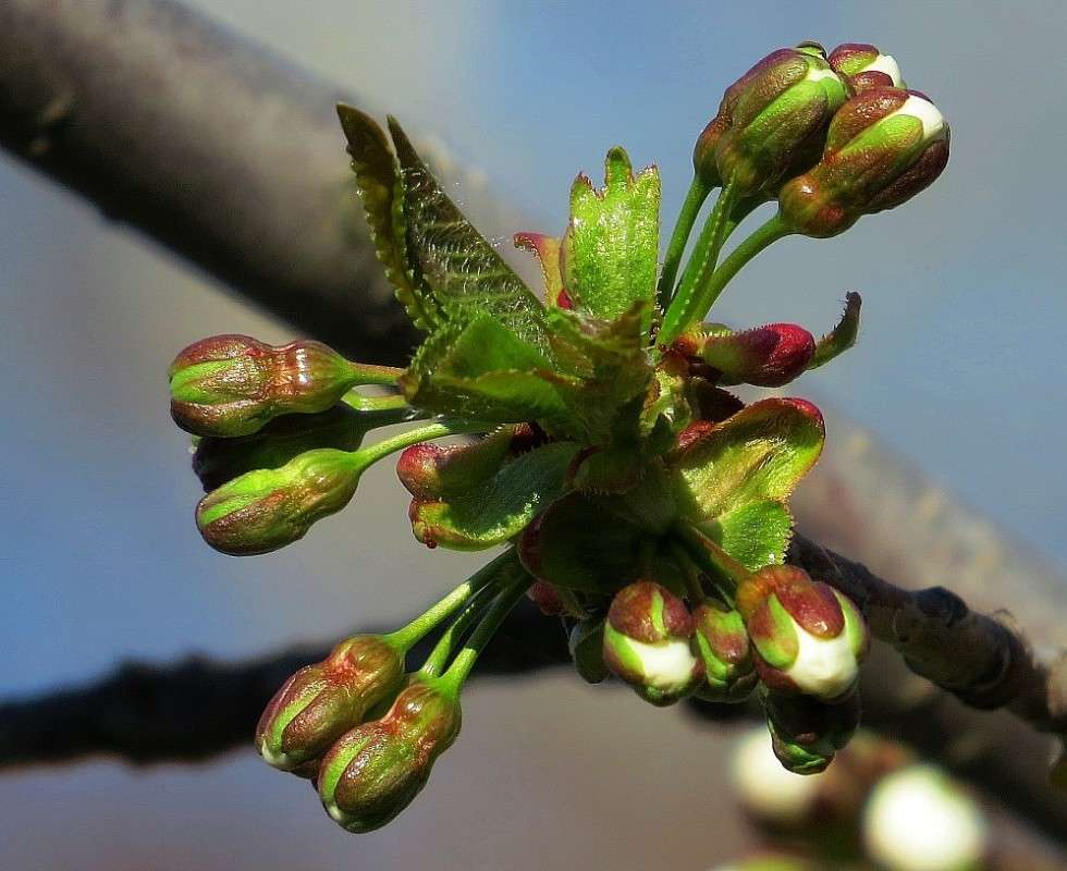 ����� ��������� ))) ����� Natali  ��������� �� PhotoGeek.ru #������ ��� ������� #����� ��������������