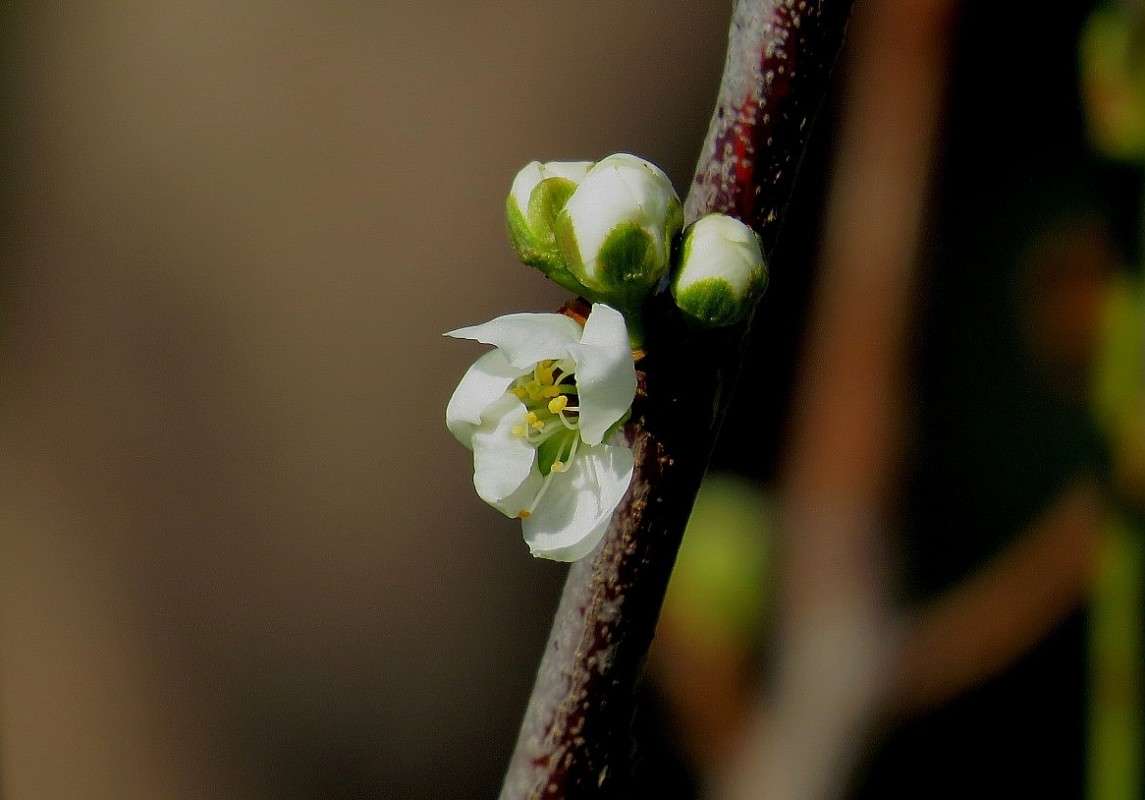 ���������� ))) ����� Natali  ��������� �� PhotoGeek.ru #������ ��� ������� #����� ��������������