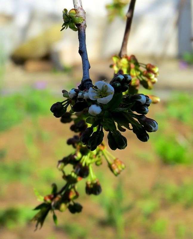 ))) ����� Natali  ��������� �� PhotoGeek.ru #������ ��� ������� #����� ��������������