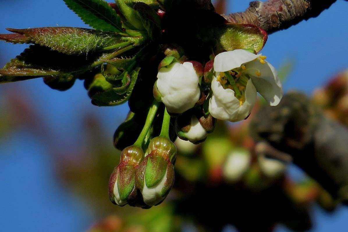 �� �������� ))) ����� Natali  ��������� �� PhotoGeek.ru #������ ��� ������� #����� ��������������