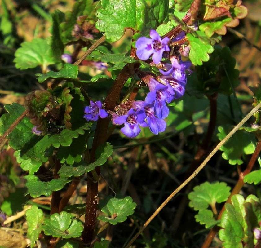 ��, ����� ������ �������� ))) ����� Natali  ��������� �� PhotoGeek.ru #������ ��� ������� #����� ��������������