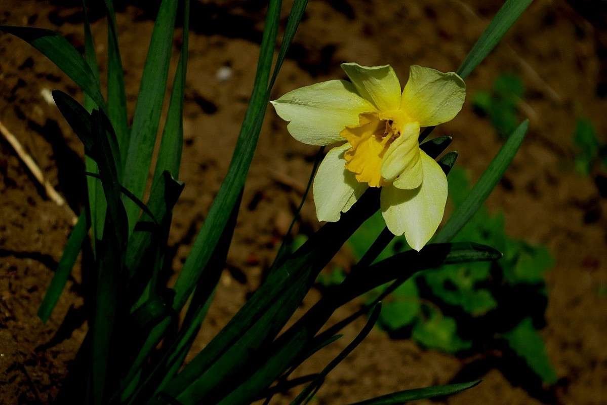 �� ������� ))) ����� Natali  ��������� �� PhotoGeek.ru #������ ��� ������� #����� ��������������