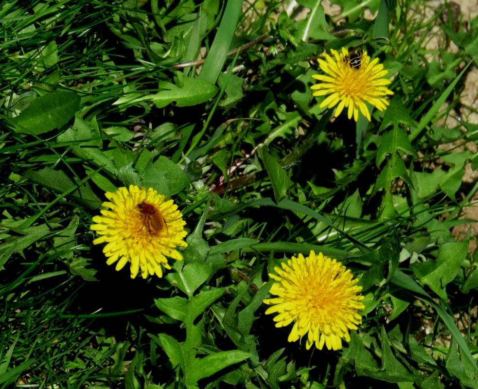 ������� - ��� ... ) ����� Natali  ��������� �� PhotoGeek.ru #������ ��� ������� #����� ��������������