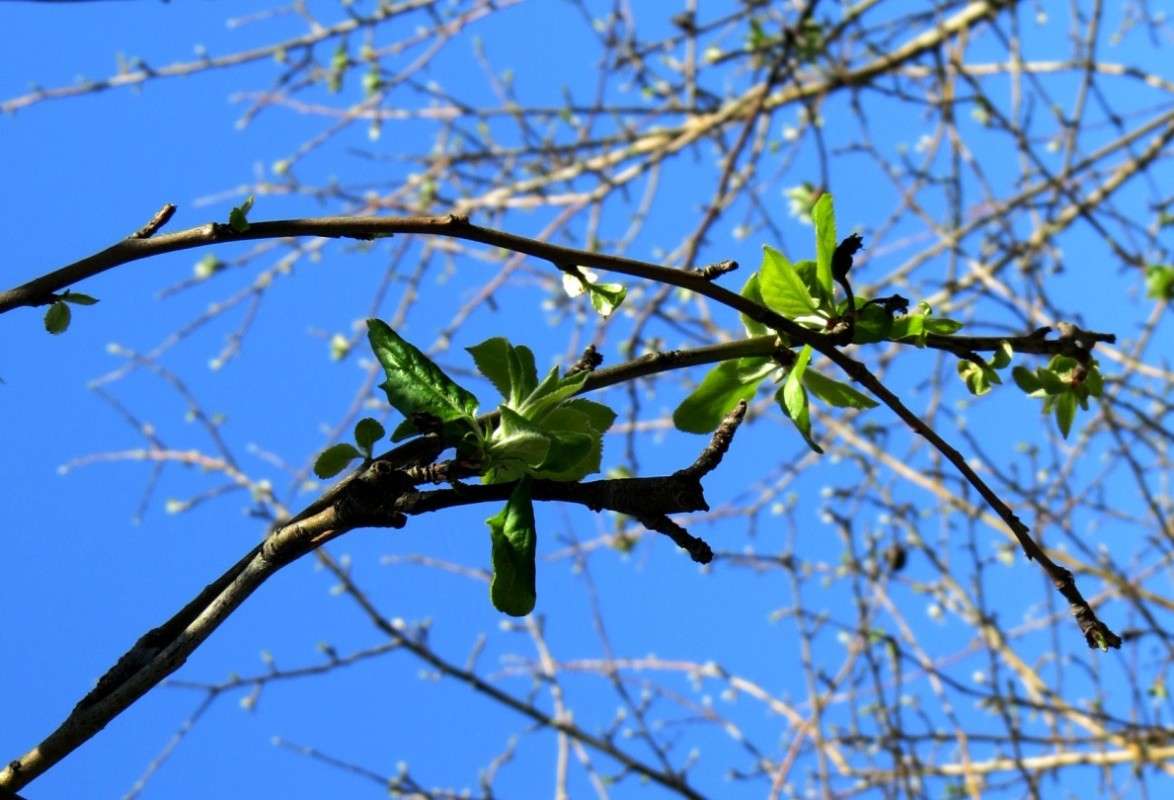 �������� ... ����� Natali  ��������� �� PhotoGeek.ru #������ ��� ������� #����� ��������������