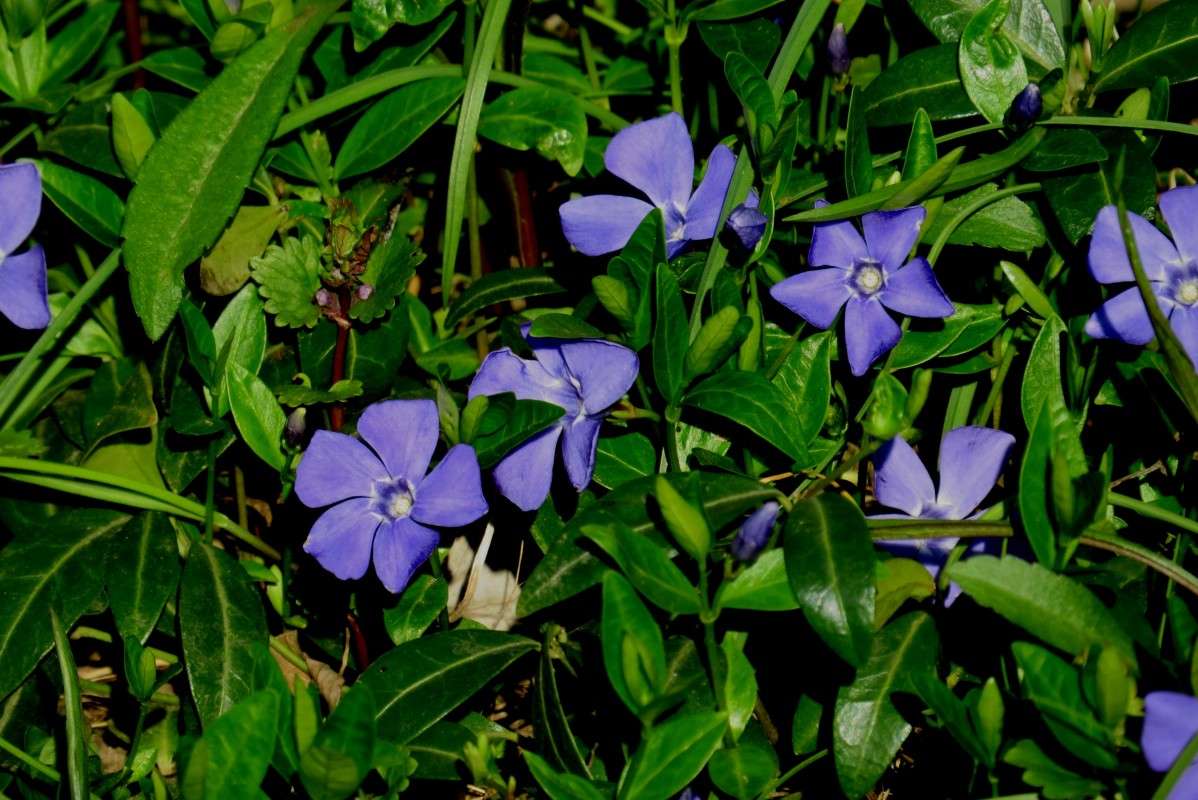 ... ����� Natali  ��������� �� PhotoGeek.ru #������ ��� ������� #����� ��������������