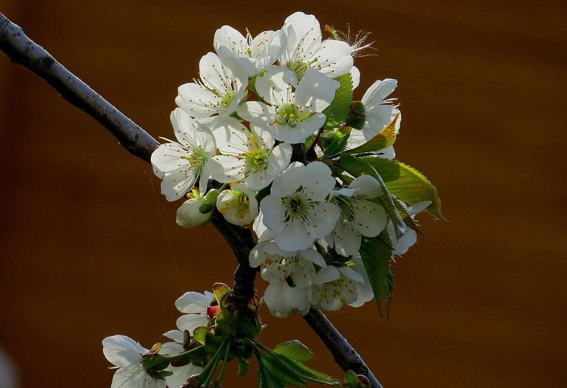 ... ����� Natali  ��������� �� PhotoGeek.ru #������ ��� ������� #����� ��������������