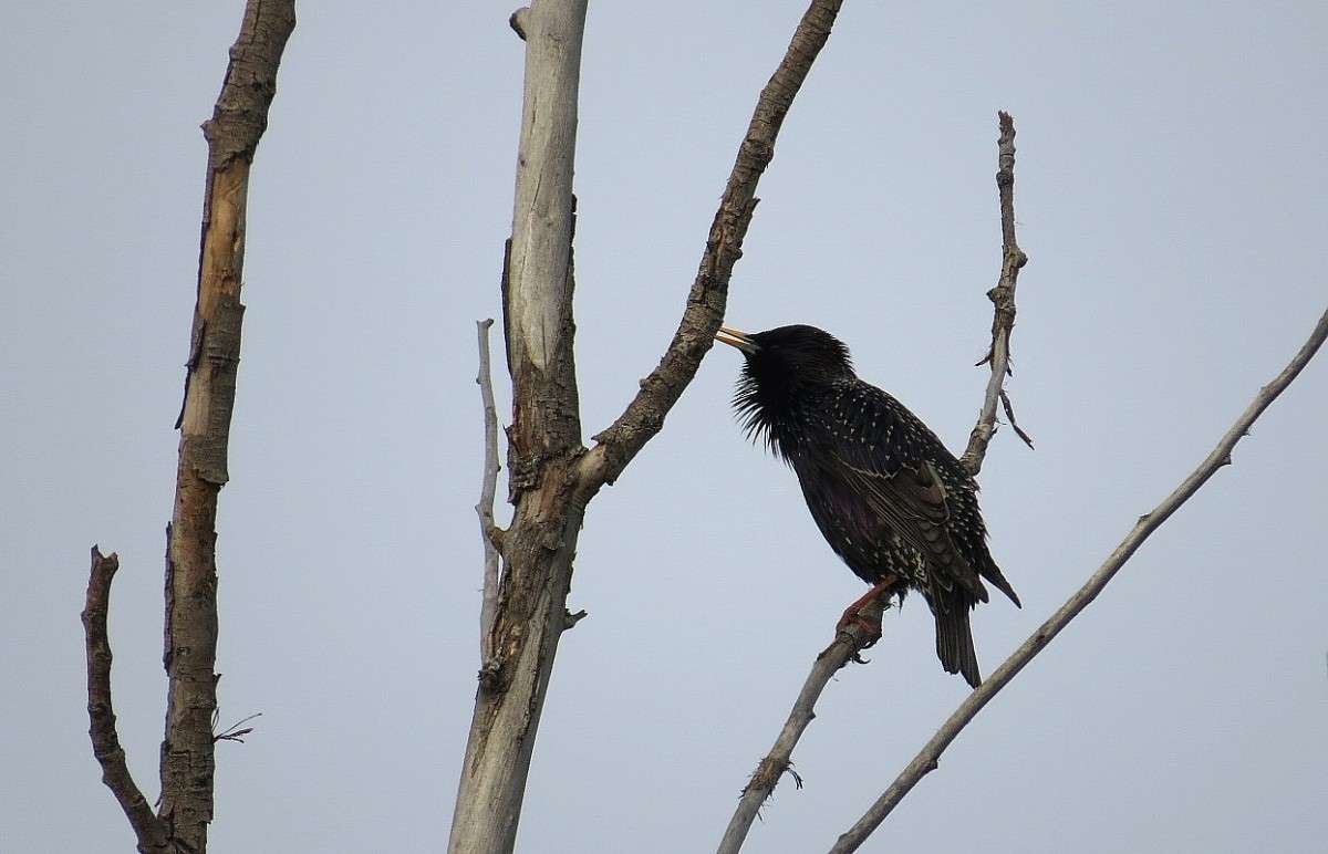 � �������� ������ ))) ����� Natali  ��������� �� PhotoGeek.ru #�������� ���