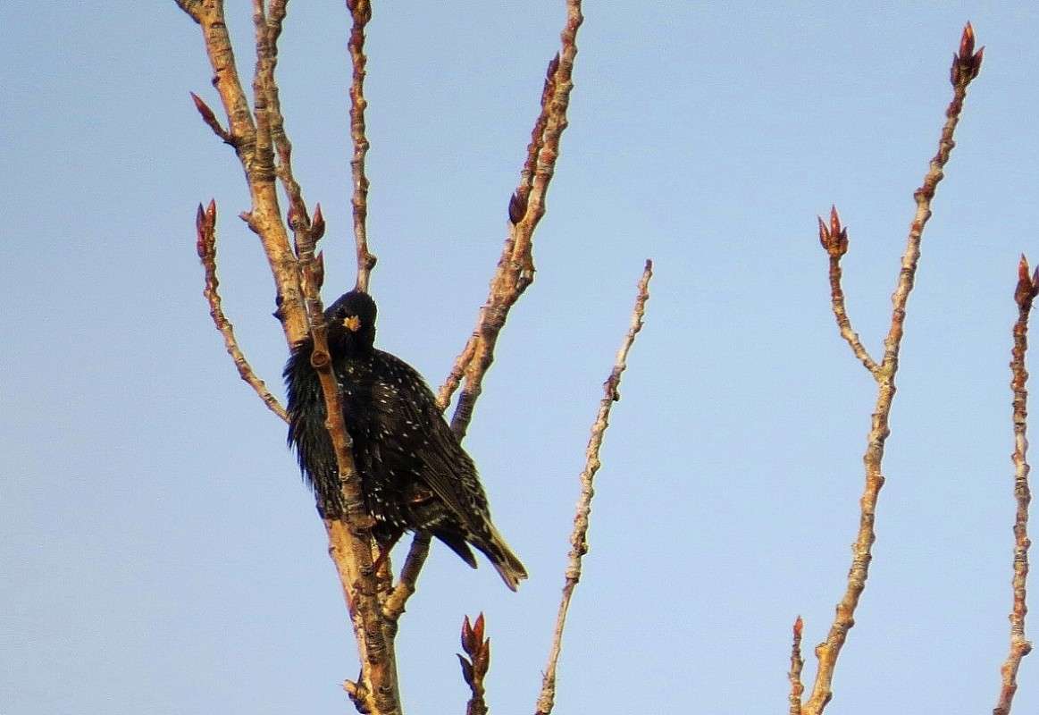 � �������� ���������� ))) ����� Natali  ��������� �� PhotoGeek.ru #�������� ���