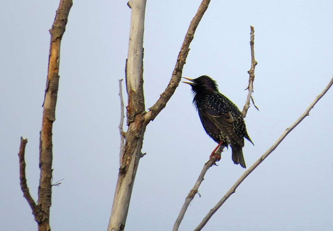 � �������� ������  2 ))) ����� Natali  ��������� �� PhotoGeek.ru #�������� ���