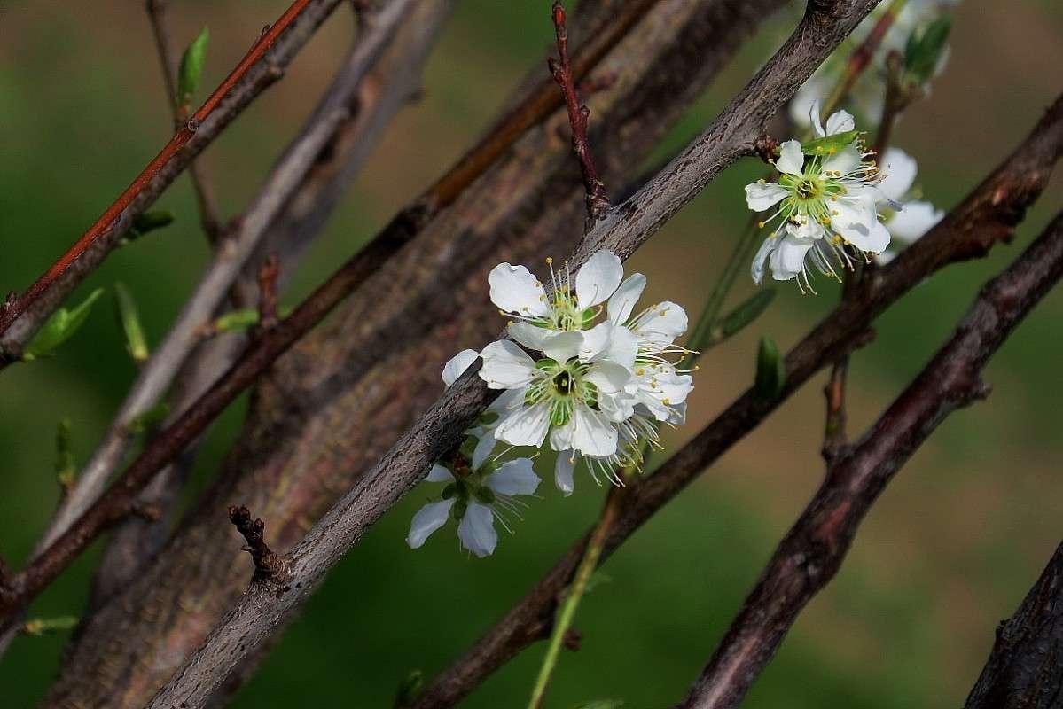 ��������� ������� ... 2  ))) ����� Natali  ��������� �� PhotoGeek.ru #������ ��� ������� #����� ��������������