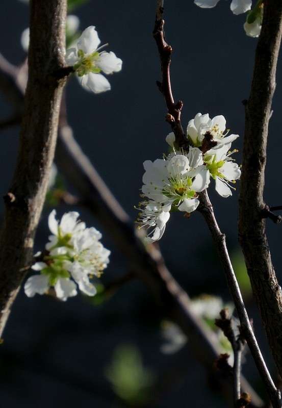 ))) ����� Natali  ��������� �� PhotoGeek.ru #������ ��� ������� #����� ��������������