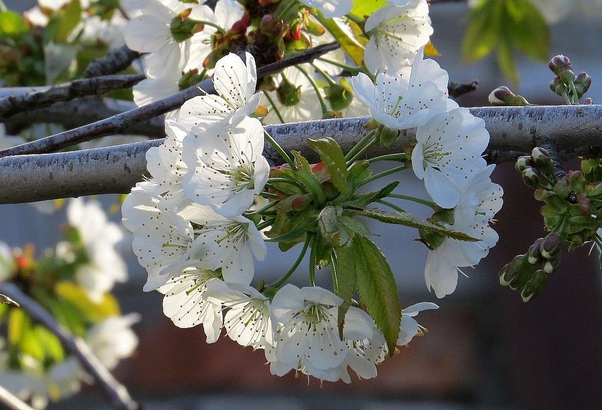 ���������  ������� ) ����� Natali  ��������� �� PhotoGeek.ru #������ ��� ������� #����� ��������������