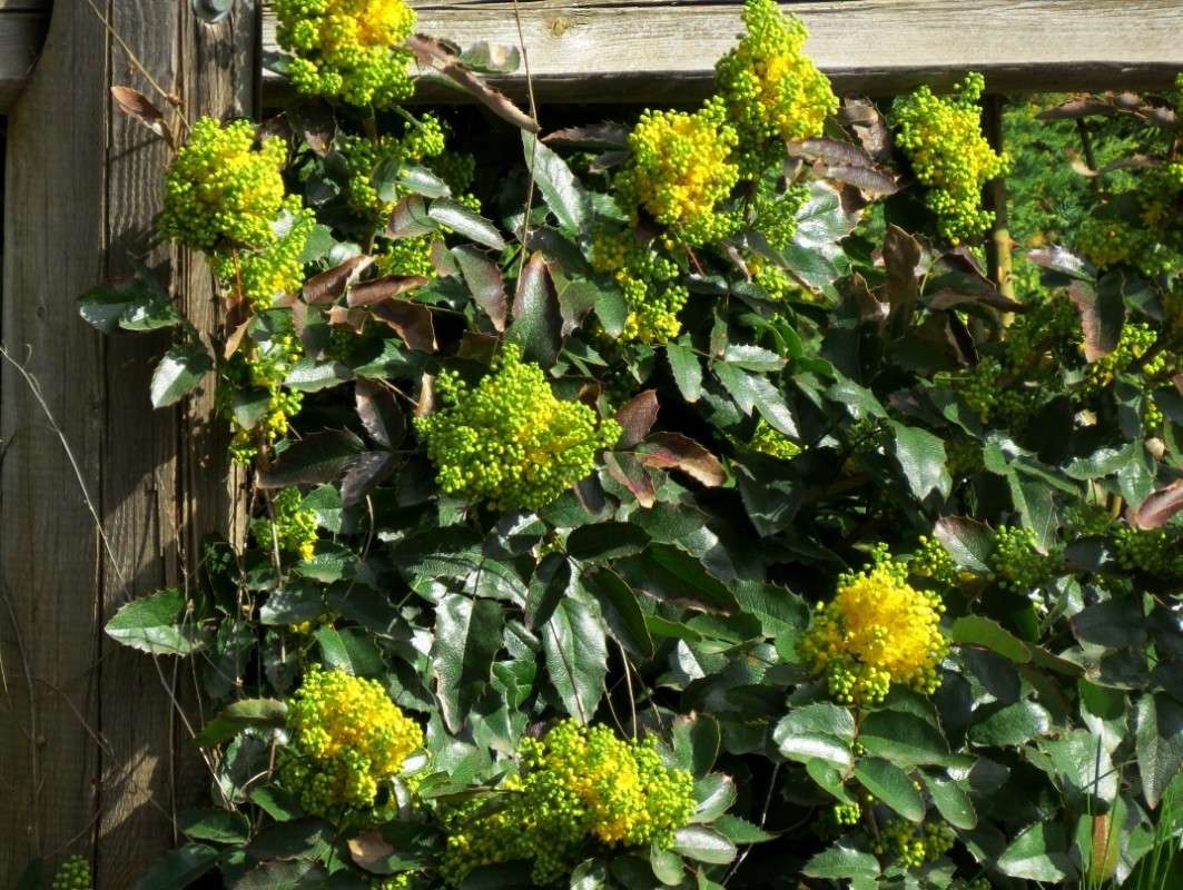 ����������� �������� ) ����� Natali  ��������� �� PhotoGeek.ru #������ ��� ������� #����� ��������������