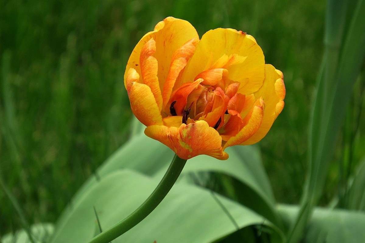 ... ����� Natali  ��������� �� PhotoGeek.ru #������ ��� ������� #����� ��������������