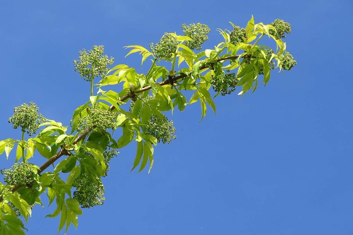 � �������� �������� ))) ����� Natali  ��������� �� PhotoGeek.ru #������ ��� ������� #����� ��������������