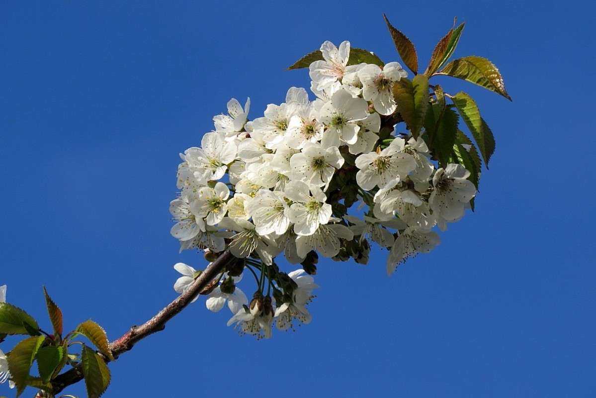 � �������� �������� 2 ... ) ����� Natali  ��������� �� PhotoGeek.ru #������ ��� ������� #����� ��������������