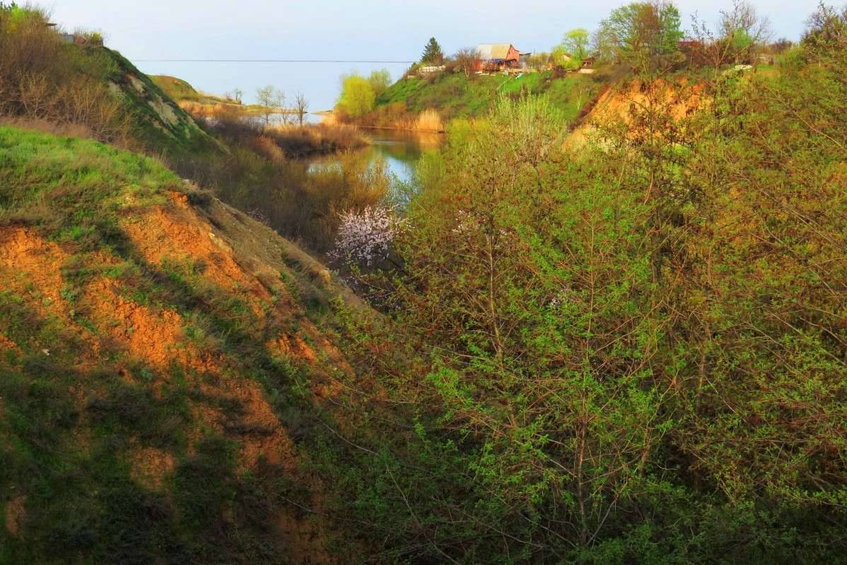 ����� �  ������ ) ����� Natali  ��������� �� PhotoGeek.ru #������ ��� �������