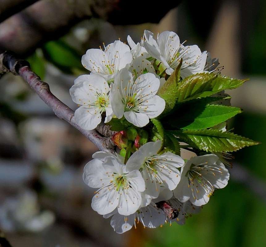 ... ����� Natali  ��������� �� PhotoGeek.ru #������ ��� ������� #����� ��������������