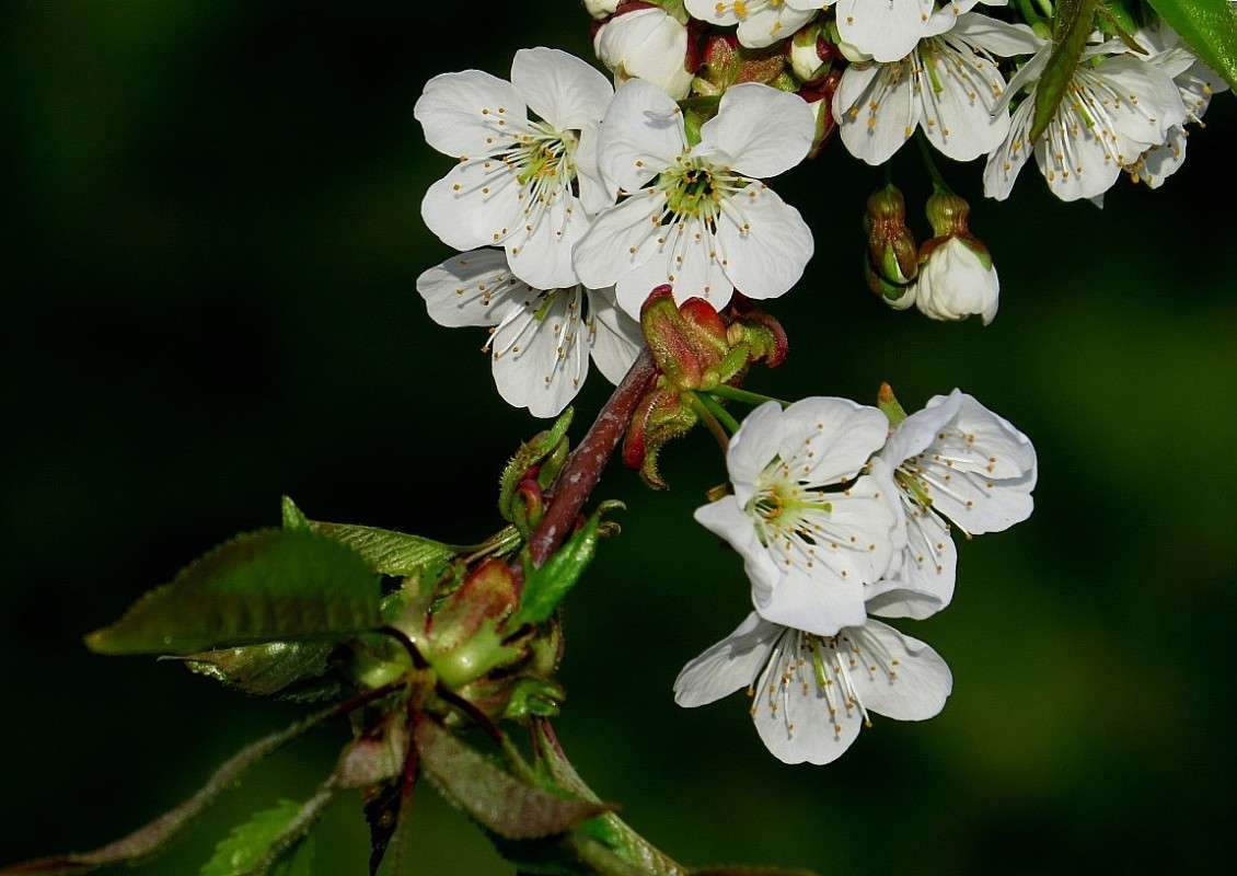 ... ����� Natali  ��������� �� PhotoGeek.ru #������ ��� ������� #����� ��������������