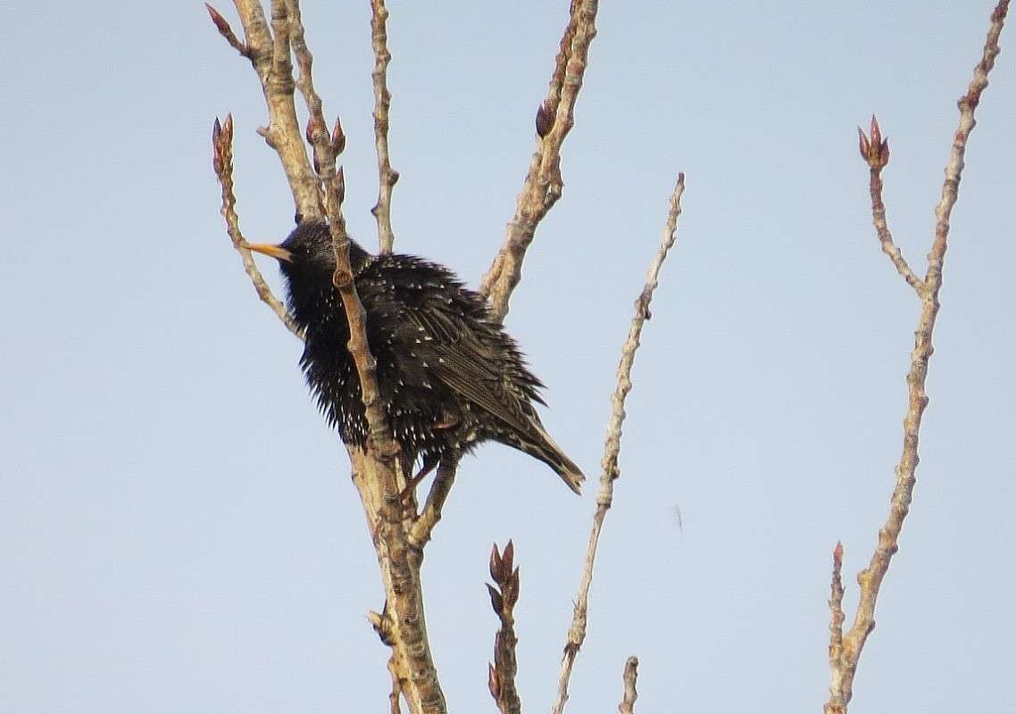 ����������� ) ����� Natali  ��������� �� PhotoGeek.ru #�������� ��� #����� ��� ��� ���������