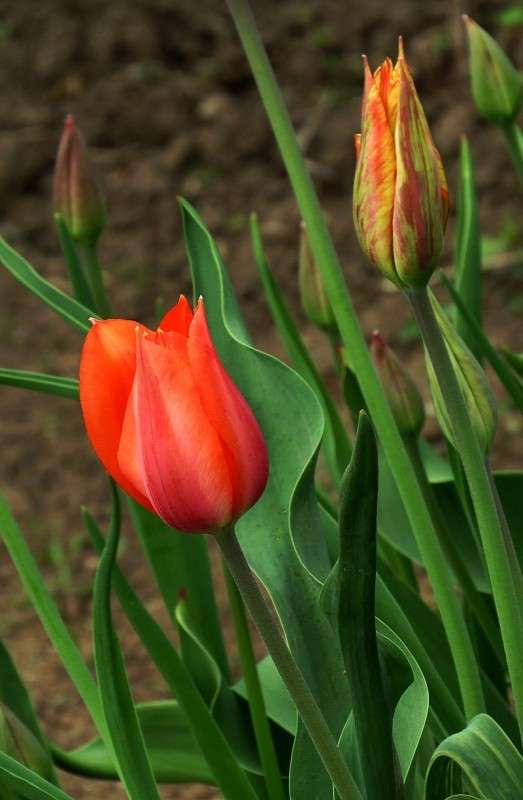 ... ����� Natali  ��������� �� PhotoGeek.ru #������ ��� ������� #����� ��������������