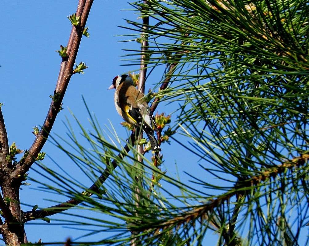 ��������� ���� ))) ����� Natali  ��������� �� PhotoGeek.ru #�������� ��� #����� ��� ��� ���������